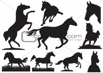 Horse silhouette collection