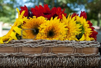 Sunflowers on a picnic basket