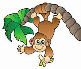 Monkey hanging on palm tree