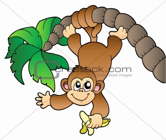 Monkey hanging on palm tree