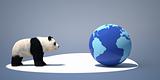 panda and the earth