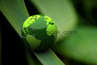 green earth on grass