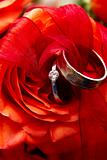 Wedding rings on a red rose