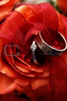 Wedding rings on a red rose