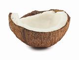 Half of coconut