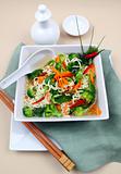 Asian Noodle Vegetarian Soup