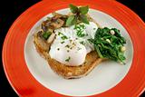 Poached Egg Breakfast 