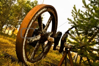 Old wooden wheel standing with grass & trees background