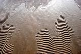 Imprints on beach sand
