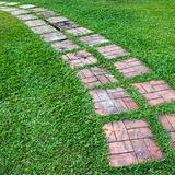 Curved path on a lawn