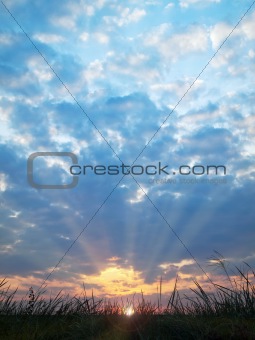 Sunset behind silhouette of the grass
