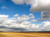 Summer landscape. Mown wheat field and a beautiful sky 