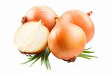 fresh golden onion isolated on white