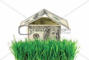 Dollar house in a green grass isolated on white