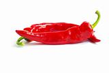  red hot pepper 