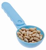Pine Nut Seeds in a Blue Spoon