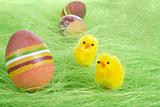 chicks and Painted Colorful Easter Egg