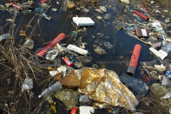 littered river