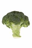 Fresh Green Broccolli