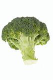 Fresh green broccolli