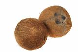 two coconut the