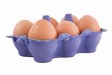 brown hens eggs in blue egg carton