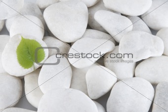 white stones and green leaf