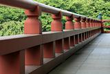Wooden Bridge - Zojoji Shrine,Tokyo, Japan