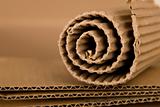 spiral made from cardboard