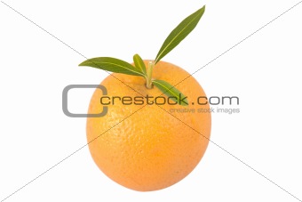 orange with green leaves
