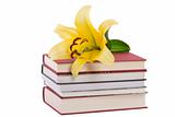 pile of books and yellow lily flower