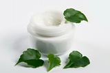cosmetic cream with green leaves