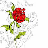 Red peony flower