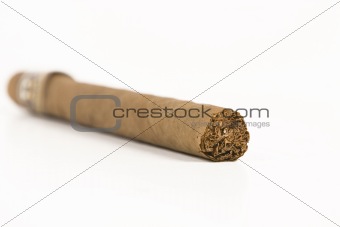 havana brown cigar