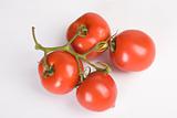fresh red tomatoes branch