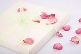 present box with rose petals