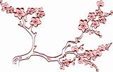 vector cherry blossom spring branch
