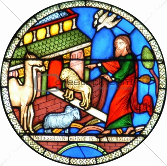 Noahs Ark Cathedral stained glass window
