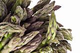 Fresh Asparagus Detail