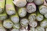 Fresh Asparagus Detail