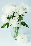 Bouquet of white flowers in a glass vase