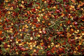 herb and chili mix background