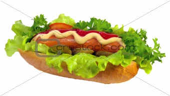  hot dog