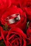 Titanium engagement ring in red rose