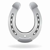 Metallic / silver horseshoe