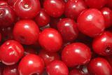 Ripe red cherries background