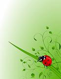 Green background with  ladybug