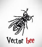 Vector Bee