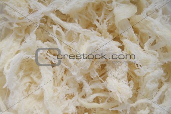 Dried squid meat