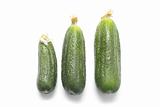 Three ripe cucumbers isolated on white